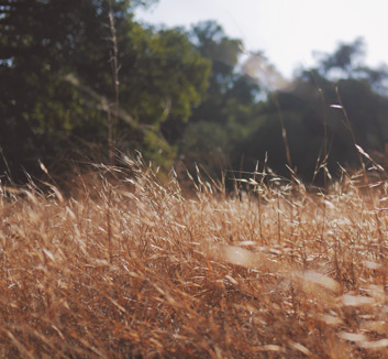 铁皮罐头的悲歌：巴伦西亚低谷徘徊，莱加内斯送别胜利曙光？