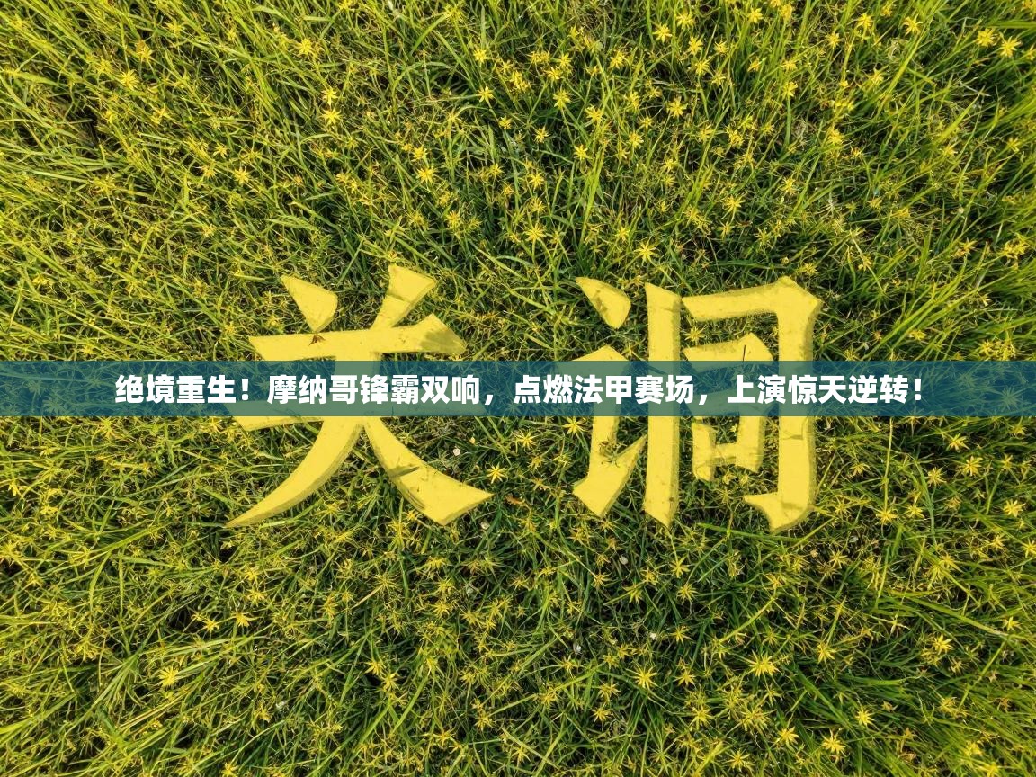 绝境重生!摩纳哥锋霸双响,点燃法甲赛场,上演惊天逆转! 第2张